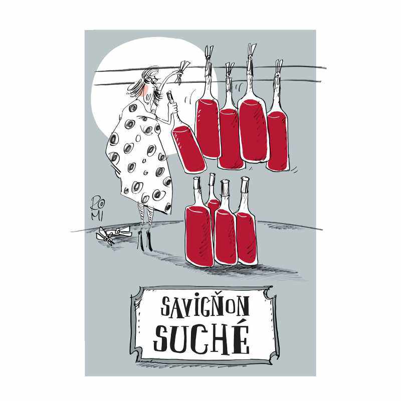 Savigňon